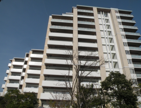 DSCN6339.JPG